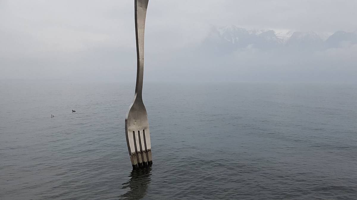 Our upcoming Hard Fork, and what you need to know about forks