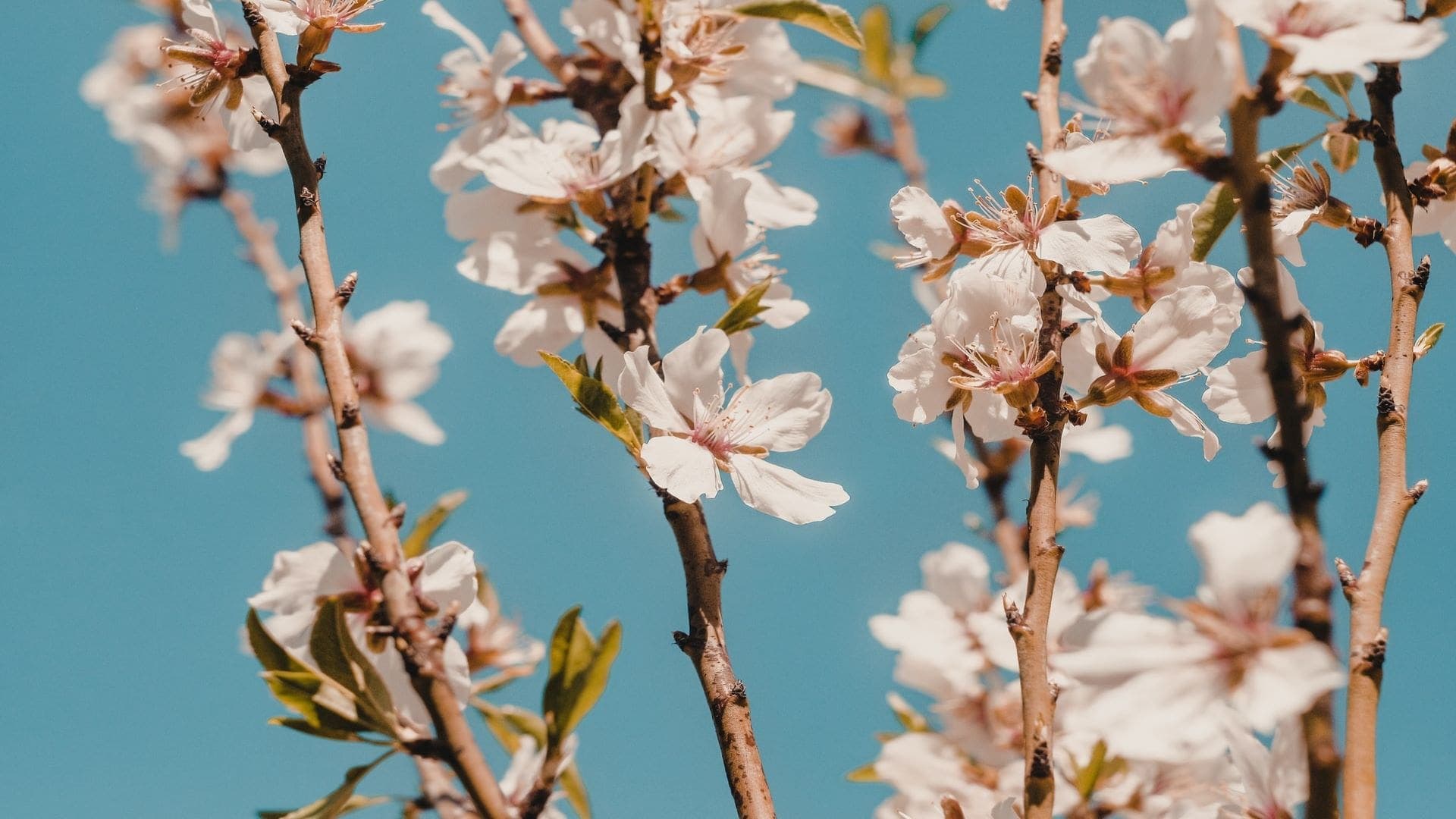 Monthly Digest: March 2022