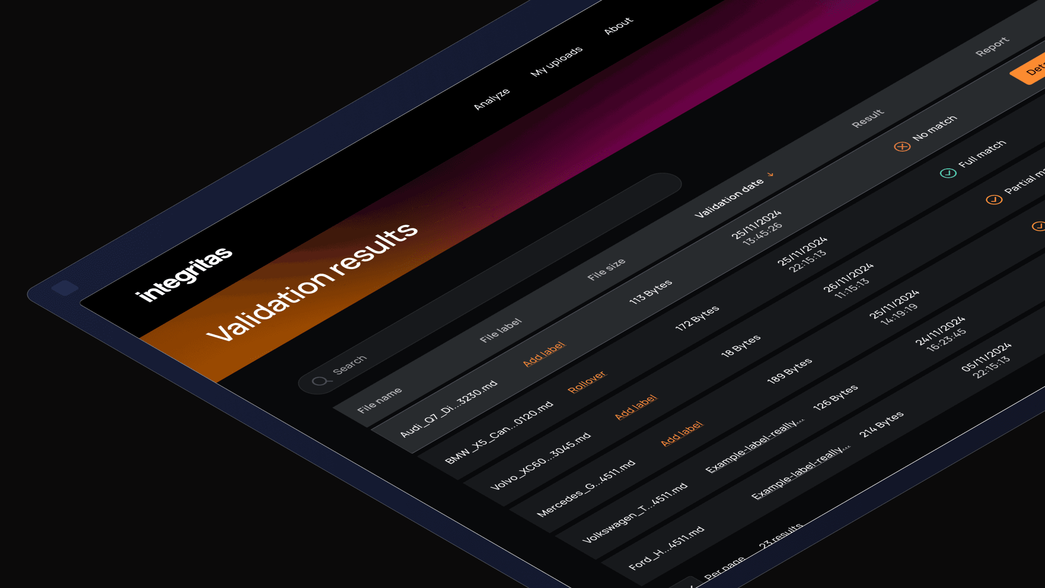 Integritas validation results screen listing registered files with their match status