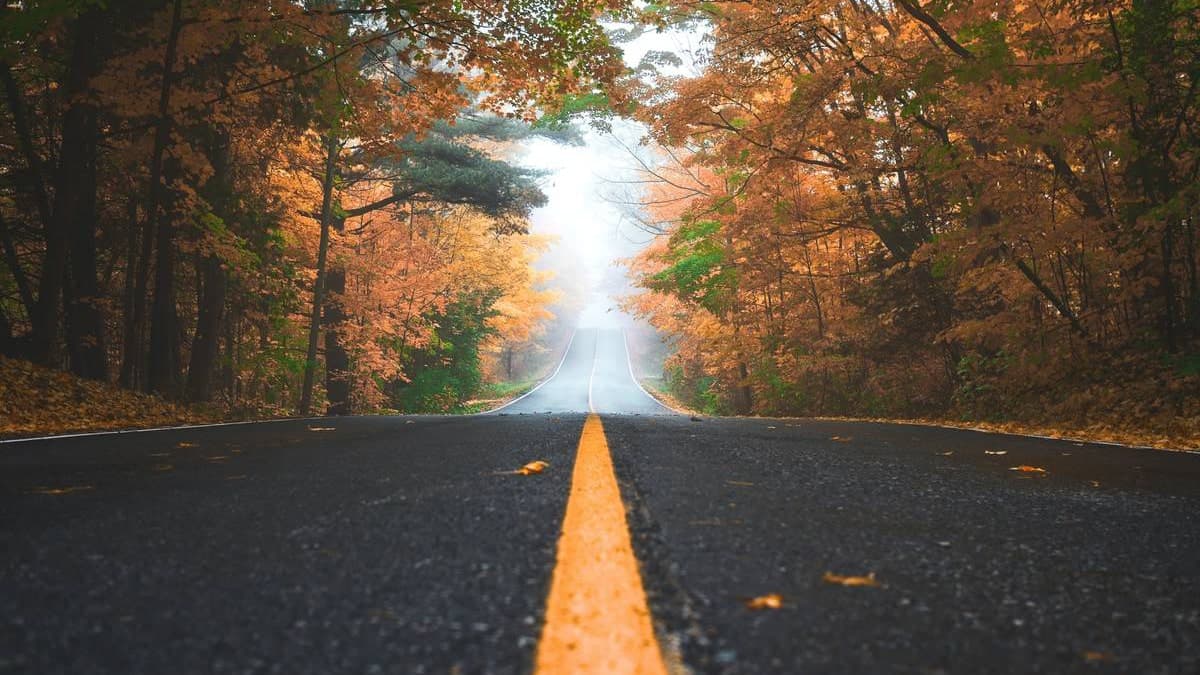 Monthly Digest— October 2021
